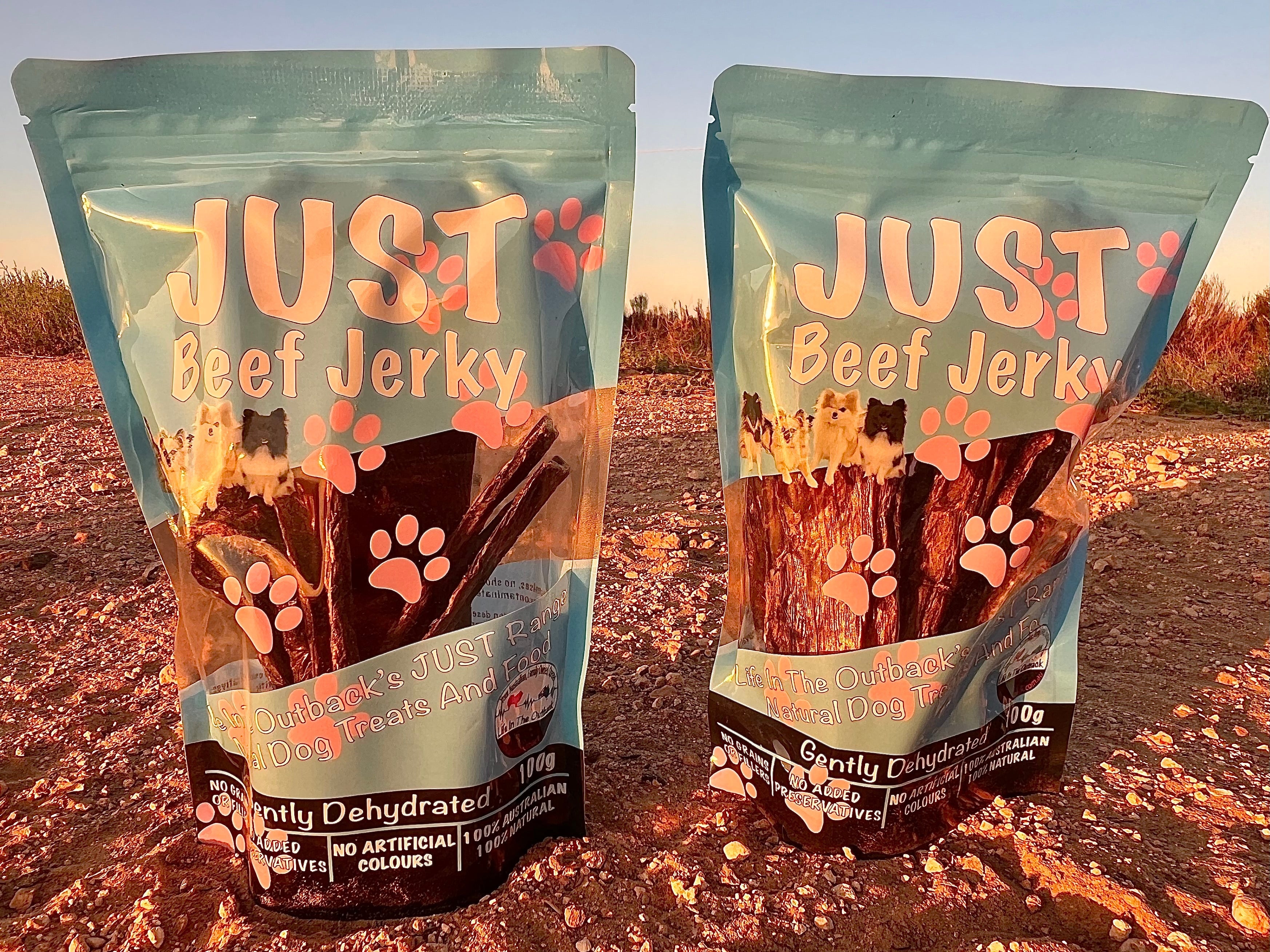 NNEDSZ 1x Just Beef Jerky